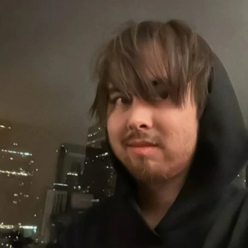 LeafyIsHere | Wikitubia | Fandom