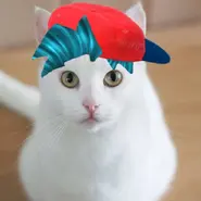 Nyanko's April Fools' Day profile picture.[101]