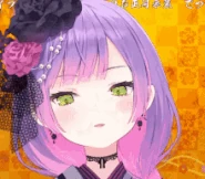 Towach-shorthair3.gif (651 KB)