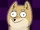Doge Animations