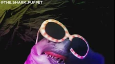 Shark_Puppet_dances!