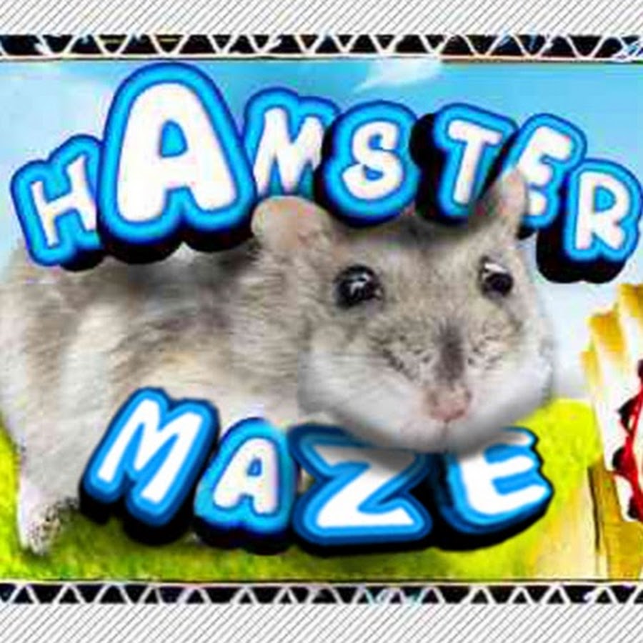 Hamster Maze on the App Store