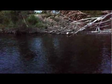 Jared_caught_a_fish!