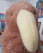 Mayro Kiwi.png (602 KB) One of Mayro's Kiwi plushes.