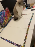 YaGurlShelly 2p.jpg (399 KB) Pipo surrounded by puzzle pieces