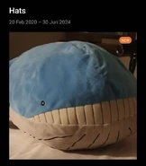 Mayro Wailord.jpg (42 KB) Mayro's Wailord being mistaken for a hat.