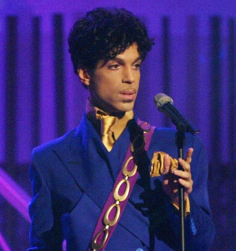 Prince Wikitubia Fandom