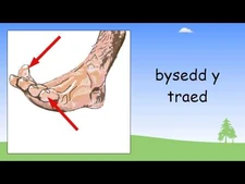 Parts_of_the_body_in_Welsh_-_Beginner_Welsh_Lessons_for_Children