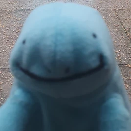 Mayro Quagsire