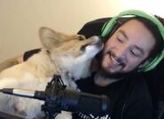 James bringing Ein onto his live stream