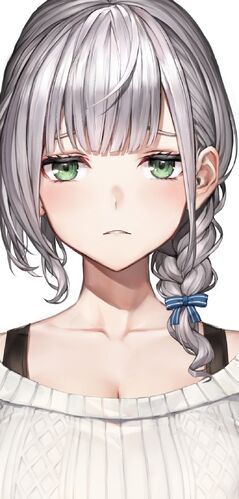 hololive　Shirogane Noel(白銀ノエル)　PP Shirogane Noel | Virtual YouTuber Wiki | Fandom