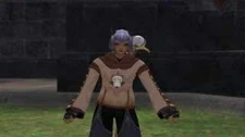 FFXI_Mithra_emote_swapping