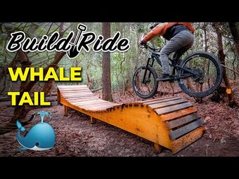 What bike does seth's bike hacks ride online