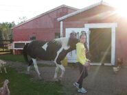 GeminiTay as a teen with her horse Gemini