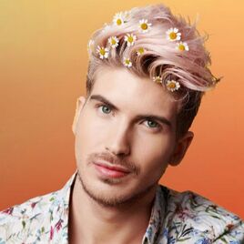 JoeyGraceffaVlogs