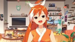 Crunchyroll-Hime, Virtual r Wiki