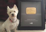 Georgie (deceased) next to Golden Play Button.