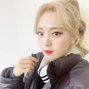 Foto de Perfil (2020-)