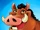 PUMBA
