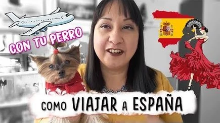 COMO_VIAJAR_CON_TU_PERRO_A_ESPAÑA_-_Aracelli_Vlogs