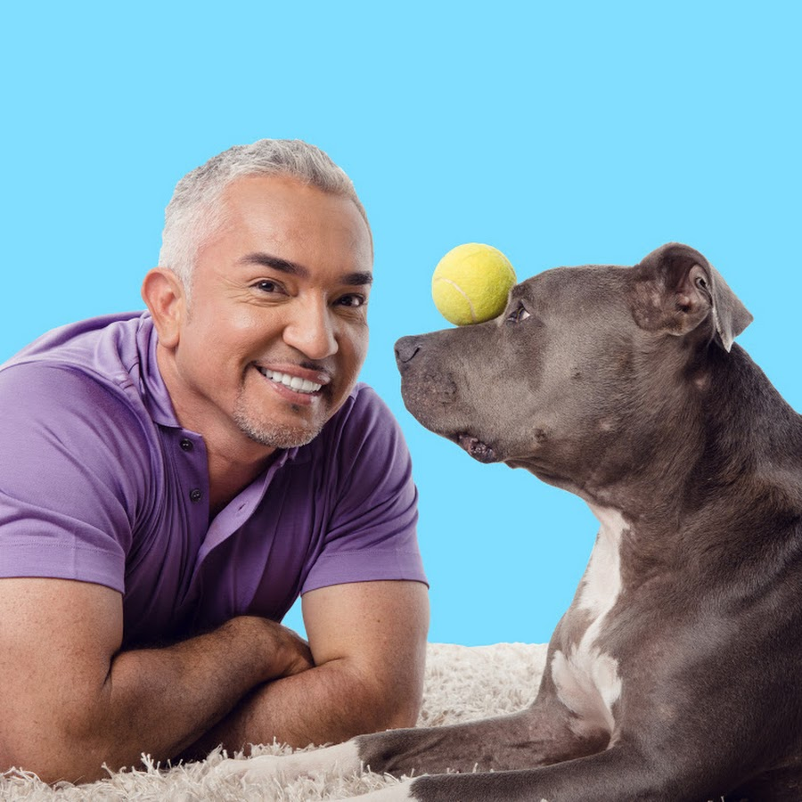 Cesar Millan Wiki YouTube Pedia Fandom