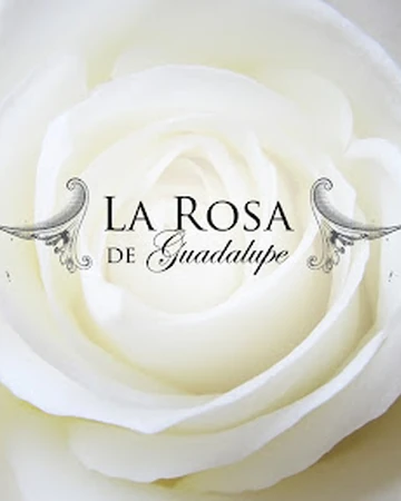La Rosa De Guadalupe Wiki Youtube Pedia Fandom Cecilia al ver que panchito la comienza a espiar por la ventana aprovecha que lo encuentra en la calle para invitarlo a su casa en donde cecilia se aprovecha de él. la rosa de guadalupe wiki youtube