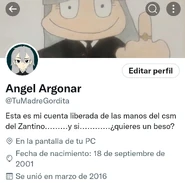 Twitterangel.jpg (108 kB) Twitter de angel