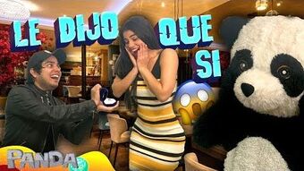 Panda Wiki Youtube Pedia Fandom Pour les articles homonymes, voir panda. panda wiki youtube pedia fandom