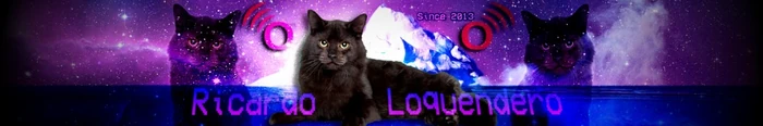 Banner de Ricardo Loquendero