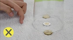 10_Apuestas_que_siempre_ganarás_(Pt2)