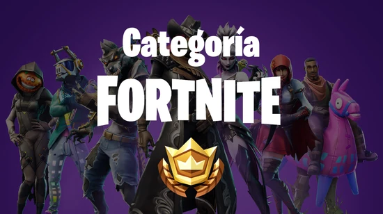 CATFortnite