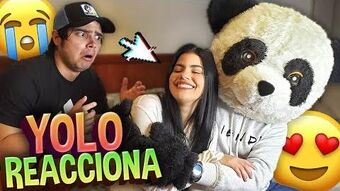 Panda Wiki Youtube Pedia Fandom ¿a qué artista te gustaría conocer? panda wiki youtube pedia fandom