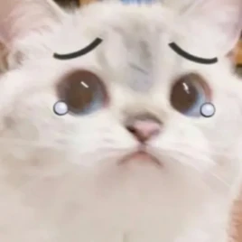 Icono del canal (2025)