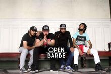 Open barbe.jpg