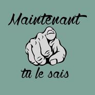 Logo de Maintenant Tu Le Sais.