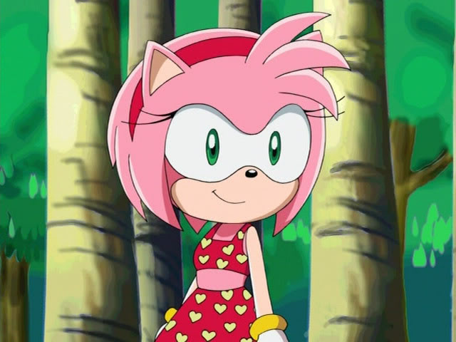 Sherrygeoffrey Sonic Amy Rose Skirt Style T-Shirt Girls Shirt Black