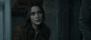 Love Quinn