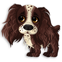 Freckles the Springer Spaniel Pet ER2018 25