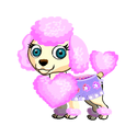 Pink Poodle 15