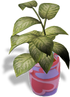 Potted Plant 25