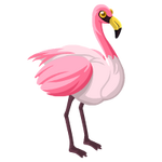 Flamingo 49