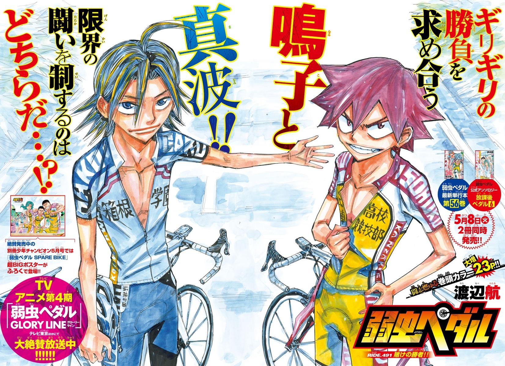 Chapter 491 Yowamushi Pedal Go Wiki Fandom