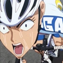 Izumidakumamotoraceportrait