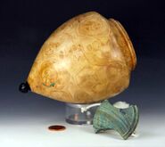 Maple burl throw-top with Boxelder burl button