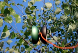 Anti-Yo Bapezilla | YoYo Wiki | Fandom