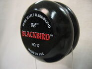 BC No. 17 Blackbird (from Dave Schulte's collection)