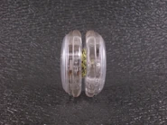 Pulse profile.jpg (195 KB) Profile