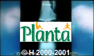 H-Planta (2000-2001)