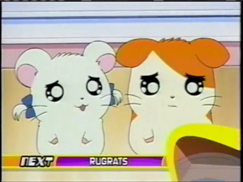 March 24, 2003 YTV Schedule Archives Wiki Fandom