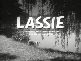 Lassie 1954 new arrivals